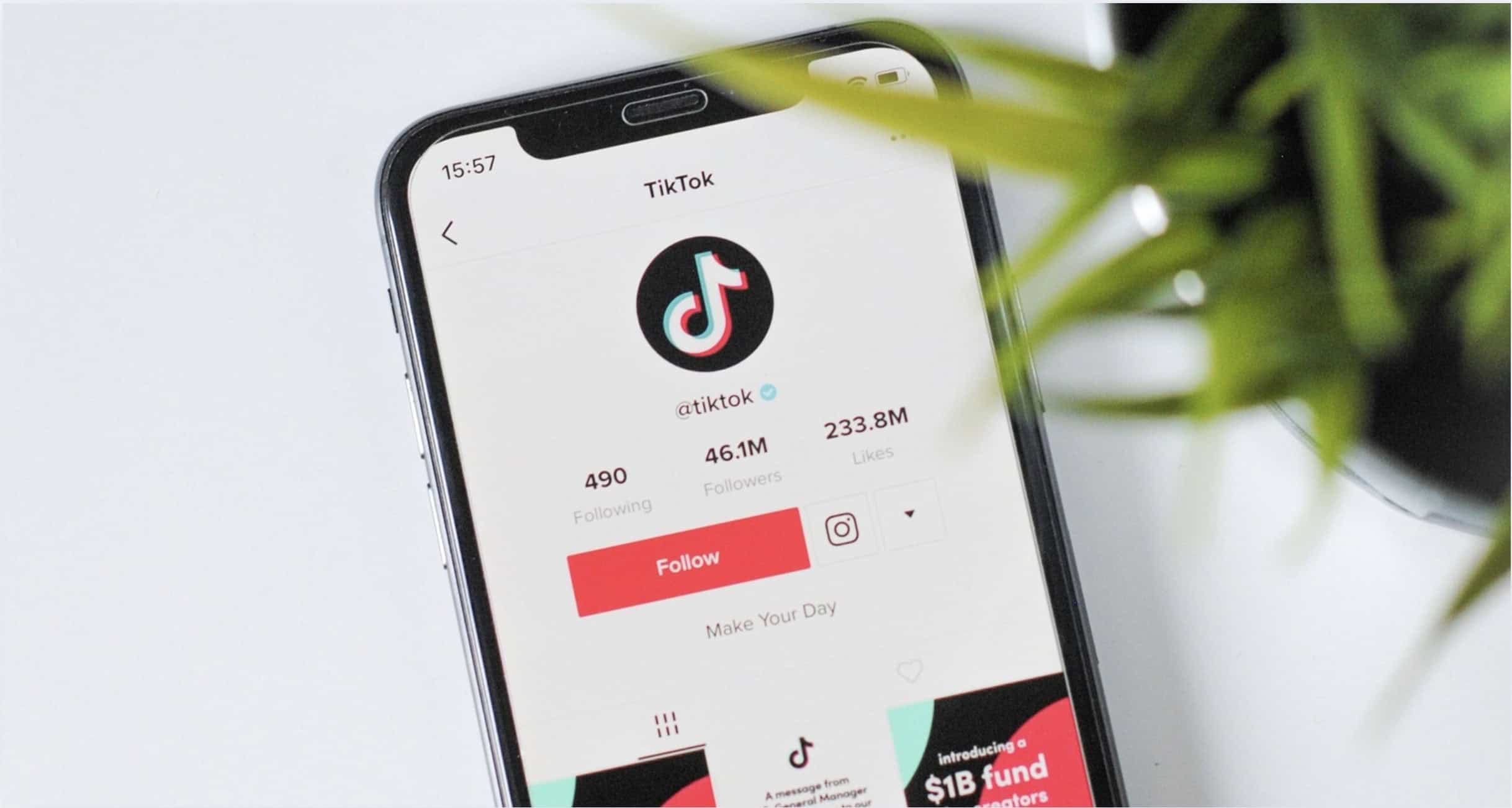 Image of touchscreen phone on the TikTok app profile